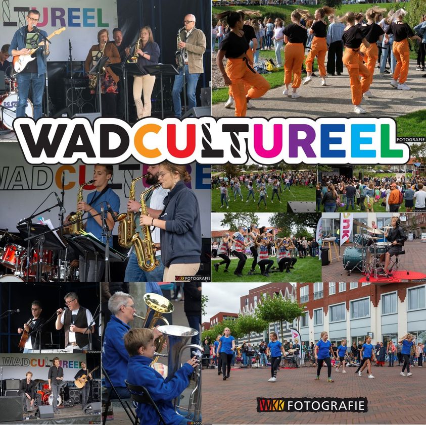 Wadcultureel 2020 collage